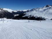 Piste Tanatz