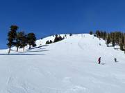 Piste Ridge