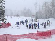 Tipp für die Kleinen  - Kinderland Red Pine