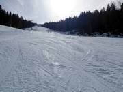 Sehr gute Pistenpräparierung im Skigebiet Ravna Planina