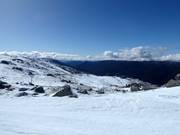 Blick über das Skigebiet Thredbo