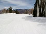 Abfahrt T-Lazy-7-Catwalk