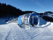 Ellmi's Zauberteppich II - Förderband/Zauberteppich mit Überdachung