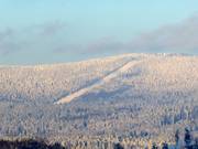 Blick auf das Skigebiet am Almberg