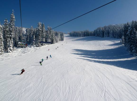 Die breite FIS Abfahrt