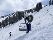 Beschneiung in Solitude