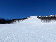 Schwere Piste Ølkorken Nr. 11 (Gullsteinhovda)