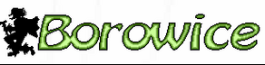 Borowice