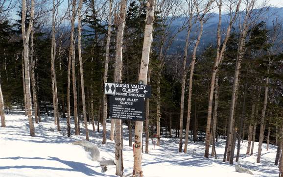 Skigebiete für Könner und Freeriding The Adirondacks – Könner, Freerider Whiteface – Lake Placid