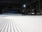 Frisch präparierter Anfängerbereich