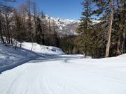 Leichte Piste Brunarica-Zadnji Vogel Nr. 12