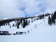 Silver King und Raven mit Talstation