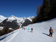 Leichte Piste vom Almboden zur Bergstation K-Express