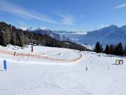 Fun & Race Area Zettersfeld