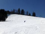 Franzosenbergabfahrt