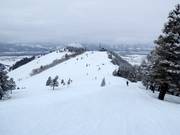 Blick von Sunnyside zum Panorama House