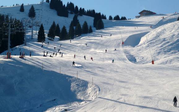 Pistenangebot Faucigny Grand Massif – Pistenangebot Le Grand Massif – Flaine/Les Carroz/Morillon/Samoëns/Sixt