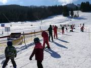 Übungslifte Kinderland - Seillift/Babylift mit niederer Seilführung