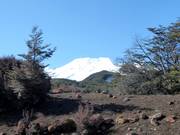Blick zum Mt. Ruapehu