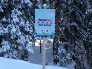 Respektiere deine Grenzen