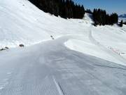 Start der Piste an der Bergstation der Hörnerbahn