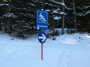 Tipp für die Kleinen  - Rodelbahn See