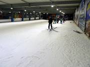 Im Anfängerbereich gibt es auch Obstacles