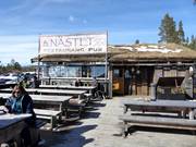 Berghütten Tipp Vildmarksnästet