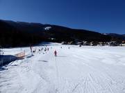 Anfängerpiste am Bögrainlift