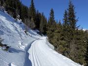 Höhenloipe Platschjoch