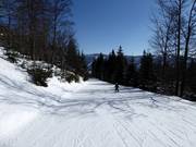 Leichte Piste Vodovodni