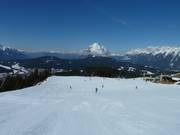 Leichte Piste auf Höhe des Murmelebaus