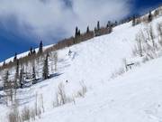 Steile Piste beim Lady Morgan Express