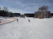 Abfahrten für Anfänger