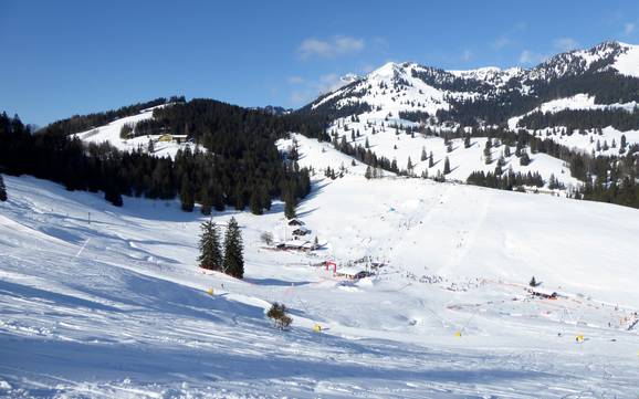 Skifahren im Verbund von Alpen Plus