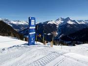 Speedline am Seenock