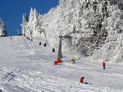 Almwiesenlift - Schlepplift mit T-Bügel/Anker