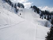 Rasant: Die rote Grande Roche