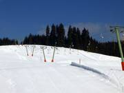 Wasenlift I - Schlepplift mit T-Bügel/Anker