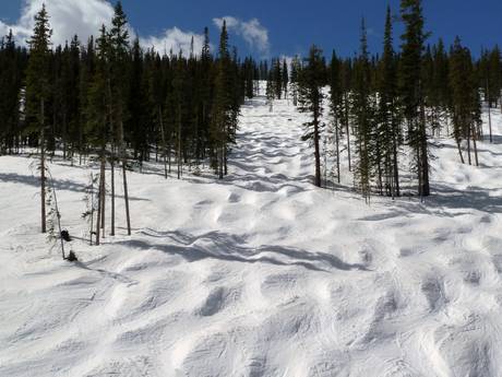 Skigebiete für Könner und Freeriding Front Range – Könner, Freerider Winter Park Resort