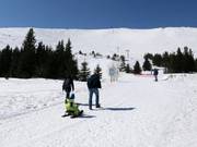 Tipp für die Kleinen  - Rodelhügel Aleko