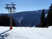 Blick vom Großberg in Richtung Roßbrand