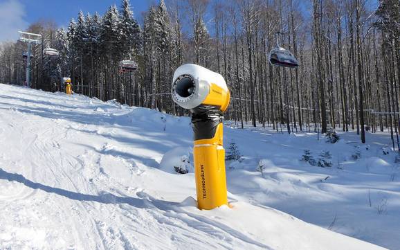 Schneesicherheit Almberg-Haidel-Dreisessel – Schneesicherheit Mitterdorf – Almberg