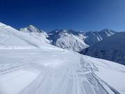 Leichte Piste Nr. 3a Wilder Mann