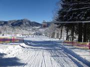 Geschwindigkeitsmessstrecke am Draxlhang