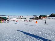 Leichte Pisten im Talbereich