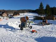 Beschneiung in Samoty