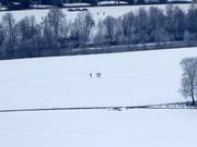 Langlauf in Kirchdorf in Tirol