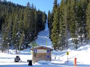 Pfaffenbühel III - Schlepplift mit T-Bügel/Anker