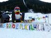 Familienskigebiete Achensee – Familien und Kinder Karwendel Bergbahn (Zwölferkopf) – Pertisau
